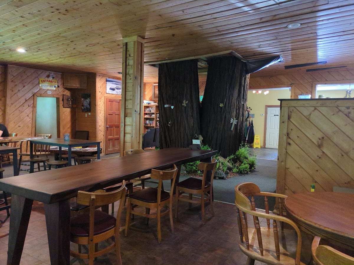Inside The Tree House Cafe with redwood trees